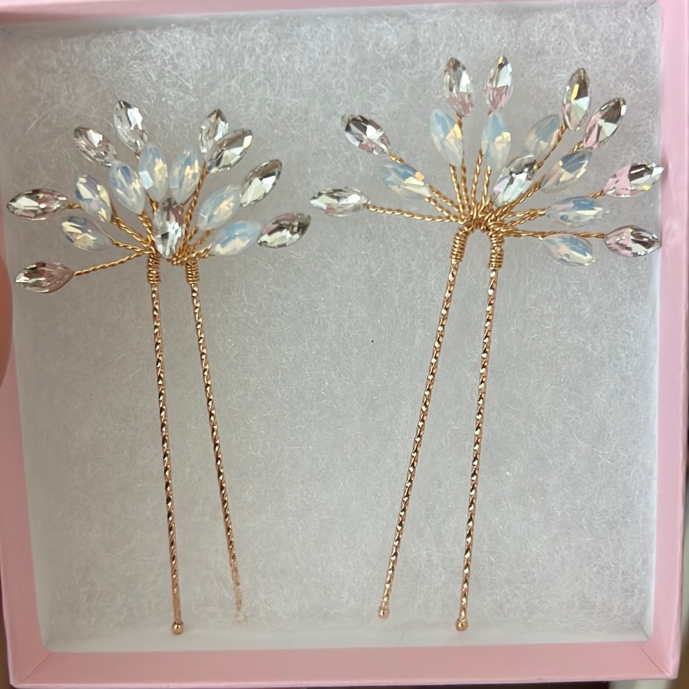 Jay Kay braids and bridal  hair pins